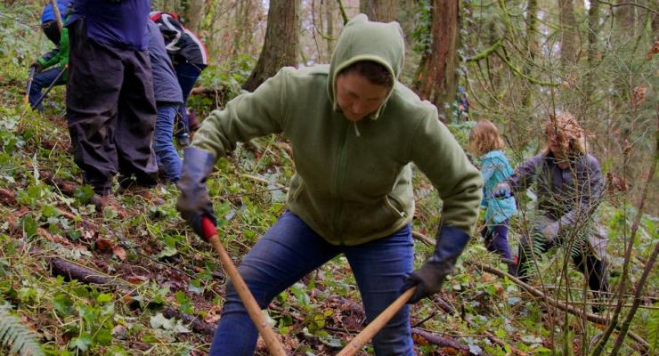 Wacking ivy