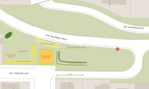 Schematic of Native Plantings at Bancroft r-o-w