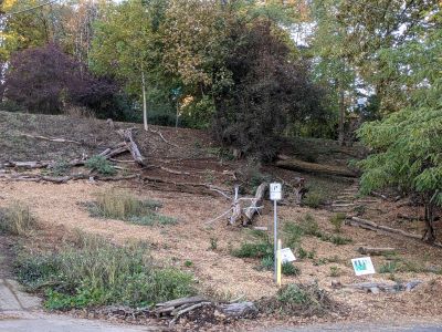 Terwilliger Parkway Native Planting Learning Center