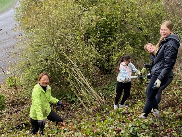 Mariko, Madison, Ella, Elsie remove ivy