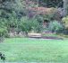 Duniway Park Sewer Improvement Project: Update