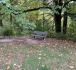 New Parkway Bench